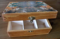 /album/krabicky-s-9-prihradkami/new-dscn1974-jpg/